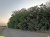 Перспективная ООПТ Среднечелбасский лес