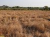 Перспективная ООПТ Устье Полыхановой балки