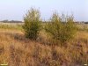 Перспективная ООПТ Устье Полыхановой балки