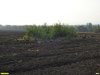 Потенциальная ООПТ Полыханов курган оказалась холмом над заброшенной скважиной
