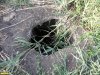 Вероятно, заброшенная скважина на вершине предполагавшегося Полыханова кургана