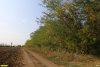 Перспективная ООПТ Красногвардейская роща