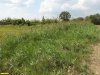 Перспективная ООПТ Урочище Абраменково 