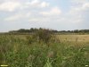 Перспективная ООПТ Причелбасское озеро