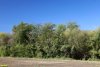 Перспективная ООПТ Большечелбасская роща
