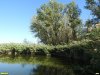 Перспективная ООПТ Сухочелбасская роща