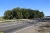 Перспективная ООПТ Усть-Сухочелбасская роща