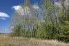 Перспективная ООПТ Восточно-Каневская роща