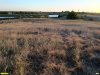 Перспективная ООПТ Крыловский берег Челбаса