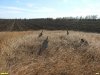 Остатки триангуляционного знака на вершине кургана Аусьпана