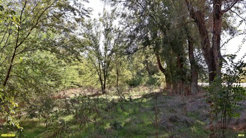 Перспективная ООПТ Северо-Уманская роща