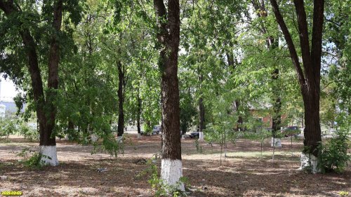 Перспективная ООПТ Роща Cыркомбината