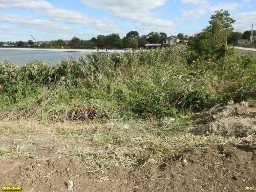 Перспективная ООПТ Бабичев берег