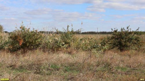 Перспективная ООПТ Маловские пойменные луга