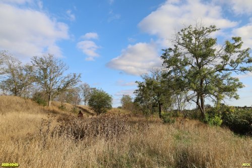 Перспективная ООПТ Восточненский берег Сосыки
