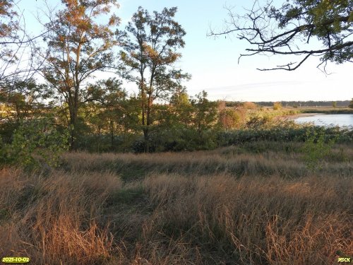 Перспективная ООПТ Зеленолугский берег Сосыки