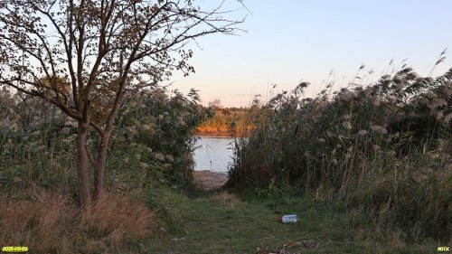 Перспективная ООПТ Зеленолугский берег Сосыки
