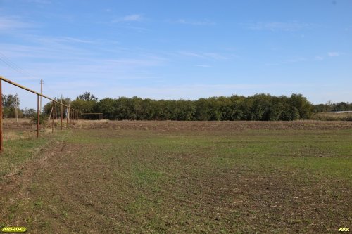 Перспективная ООПТ Максимовская роща