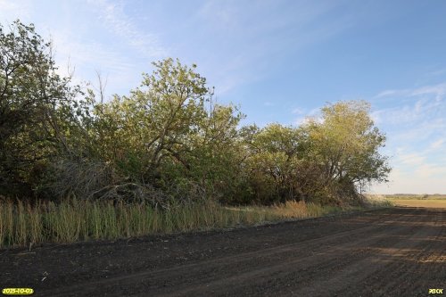 Окраина перспективной ООПТ Урочище Иваньки