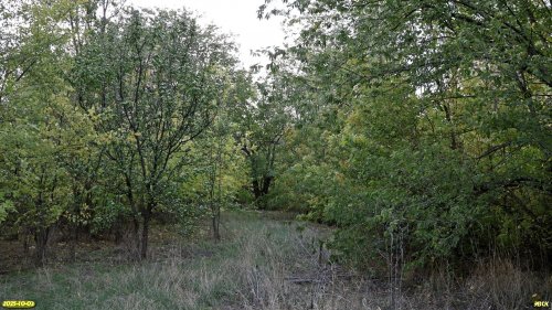 Перспективная ООПТ Северо-Белохуторская роща