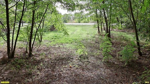 Перспективная ООПТ Зеленолугская роща