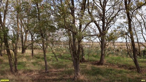 Перспективная ООПТ Восточно-Уманский Кут 