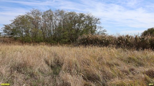 Перспективная ООПТ Восточно-Уманский берег Сосыки