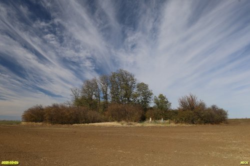 Перспективная ООПТ Старое кладбище хутора Полтавский