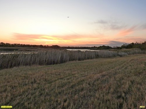 Перспективная ООПТ Западненский берег Сосыки