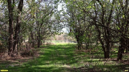 Перспективная ООПТ Куликовские рощи