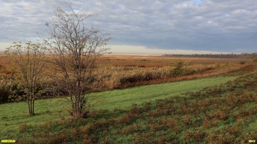 Перспективная ООПТ Дрижин высокий берег