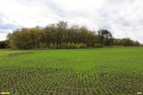 Перспективная ООПТ Черкасская роща