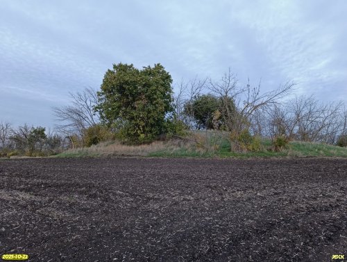 Перспективная ООПТ Курган Лысый