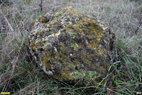 Покрытый мхами и лишайниками камень в перспективной ООПТ Восточно-Таранухинская степь