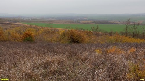 Перспективная ООПТ Шкуратский бугор