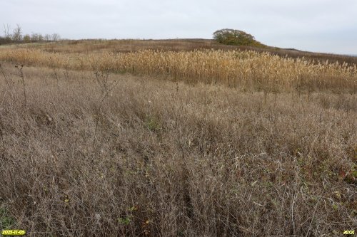 Перспективная ООПТ Шкуратский бугор