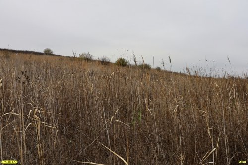 Перспективная ООПТ Шкуратская степь