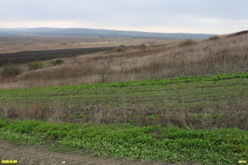 Перспективная ООПТ Шкуратская степь