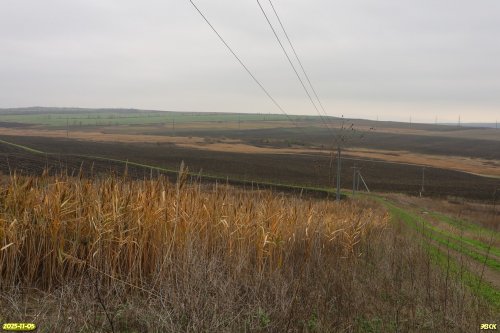 Перспективная ООПТ Шкуратская степь