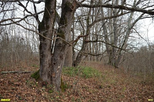 Перспективная ООПТ Северо-Хадыженское взгорье