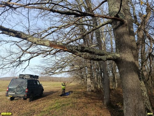 Окраина перспективной ООПТ Северо-Хадыженское взгорье
