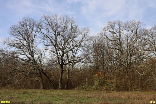 Перспективная ООПТ Урочище Майская Горка