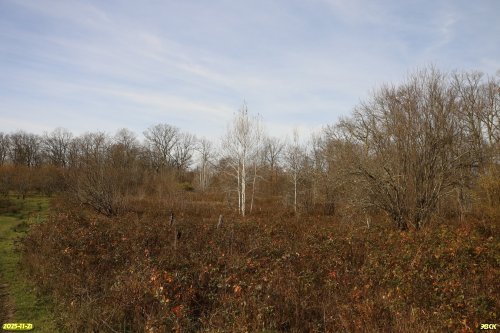 Перспективная ООПТ Урочище Майская Горка