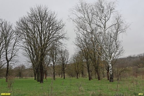 Перспективная ООПТ Урочище Скала 