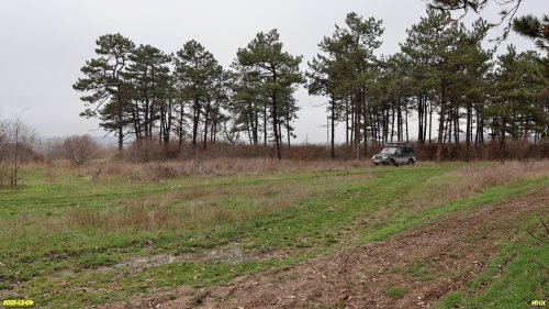 Окраина перспективной ООПТ Адагумо-Скальская роща