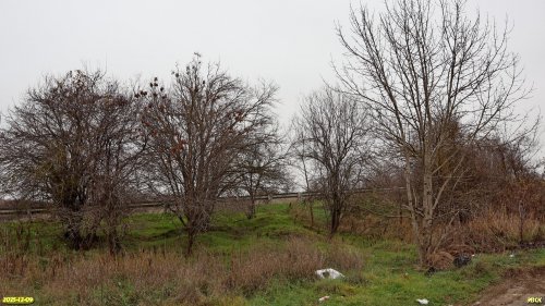 Перспективная ООПТ Володарская роща