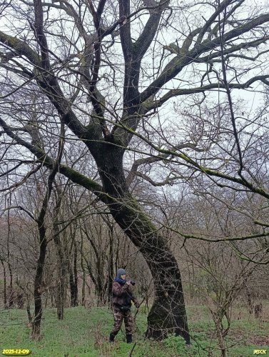 Агния Рудомаха на обследовании перспективной ООПТ Володарская роща