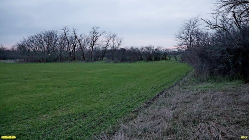 Перспективная ООПТ Западно-Ейская роща