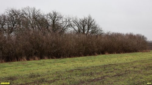 Перспективная ООПТ Спечакиевская сага