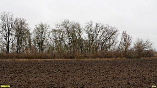 Перспективная ООПТ Спечакиевские рощи